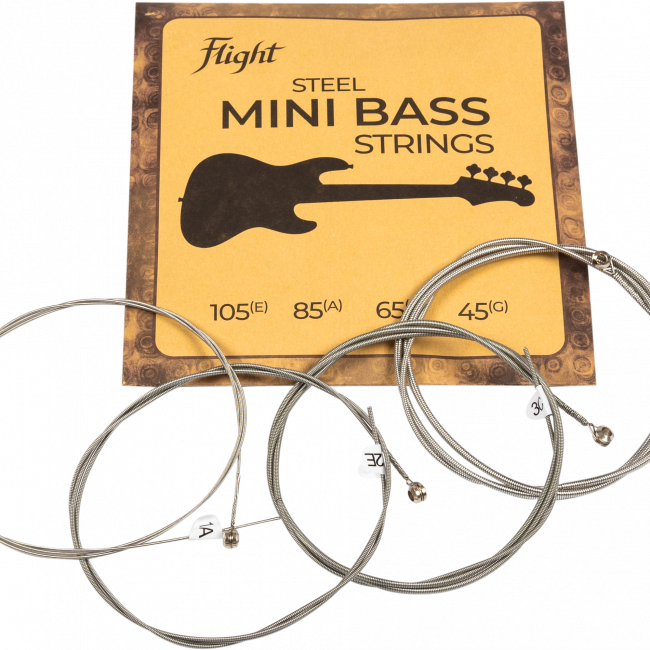 Flight Saiten FMBS-200 für Mini Bass