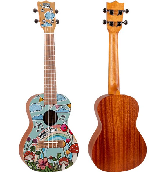 Flight AUC-33 Wonderland Concert