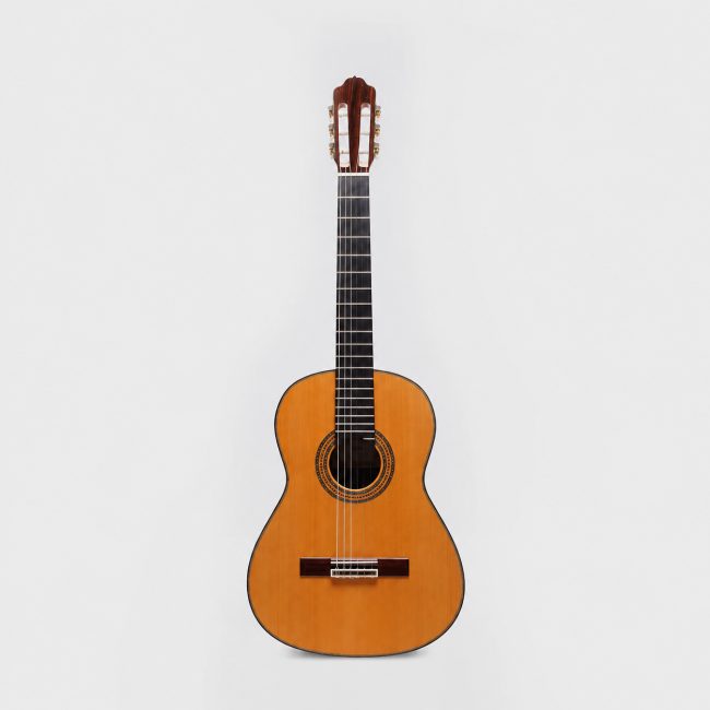 Klassische Gitarre iEsteve Alegria CD